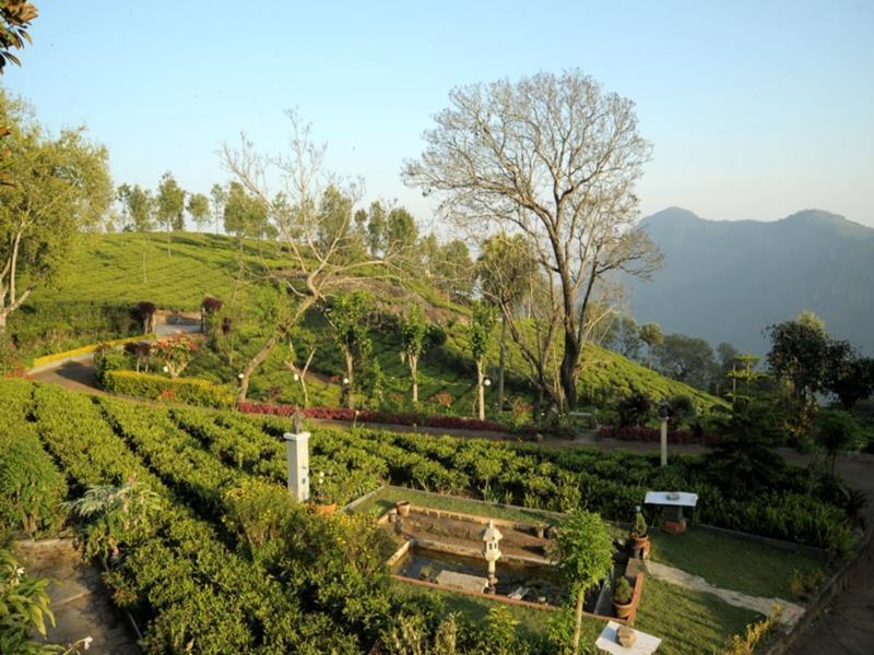 Teanest By Nature Resorts And Stays كونور المظهر الخارجي الصورة
