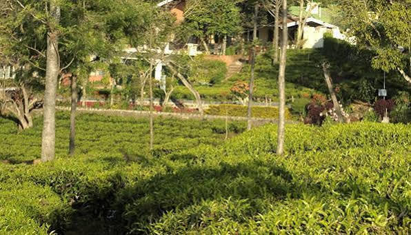 Teanest By Nature Resorts And Stays كونور المظهر الخارجي الصورة
